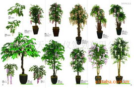 深圳市天元禮儀策劃公司 專業(yè)綠化苗木產品與一站式禮儀服務