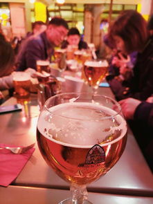 冬游法蘭西,從巴黎圣母院至圖盧茲古城,凱旋門下黃馬甲出沒(méi)