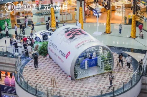 給全民造車(chē),威馬尋找破圈機(jī)會(huì)點(diǎn)