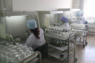 駐馬店地區(qū)考察團(tuán)對(duì)西夏王葡萄酒產(chǎn)品質(zhì)量和市場(chǎng)營(yíng)銷(xiāo)給予了高度評(píng)價(jià)